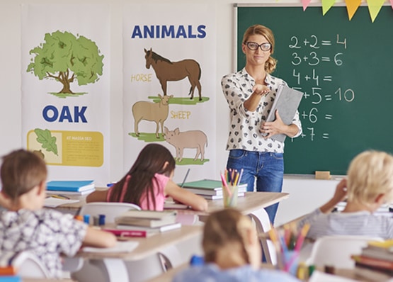 English Phonics-Build strong reading, spelling, pronunciation and comprehension skills through systematic phonics instruction.